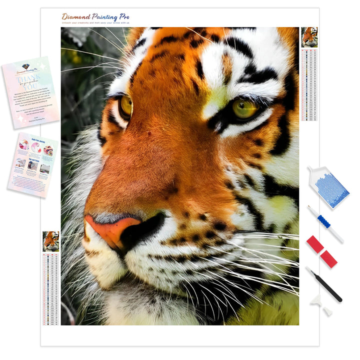 Pensive Tiger | Diamond Painting