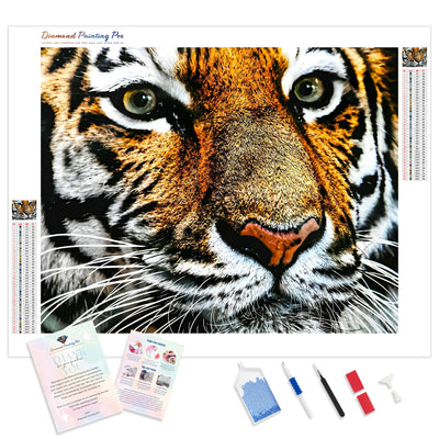 Big Cat | Diamond Painting Kit - Full Drill - Square or Round Diamonds with AB Drills Option