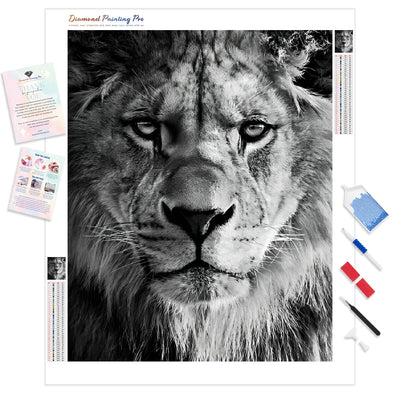 King of the Pride | Diamond Painting