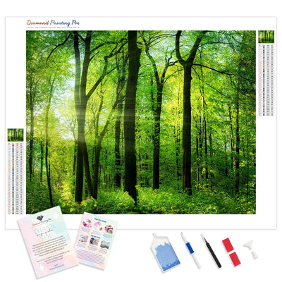 Green Summer Trees | Diamond Painting Kit - Full Drill - Square or Round Diamonds with AB Drills Option