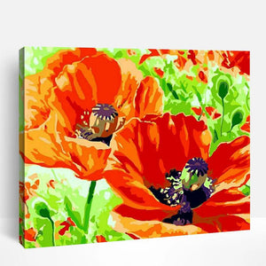 Poppy Flowers | Paint By Numbers