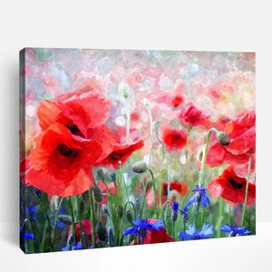 Poppy Field | Paint By Numbers