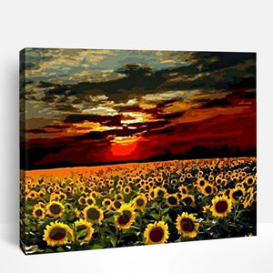 Sunflower Field Sunset | Paint By Numbers