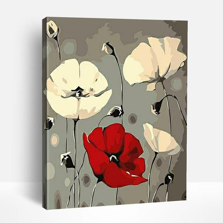 Red White Poppy Flower | Paint By Numbers