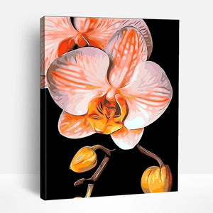 Close-up Flower | Paint By Numbers