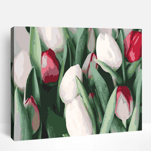 Flower Buds | Paint By Numbers