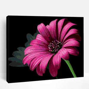Pink Daisy | Paint By Numbers