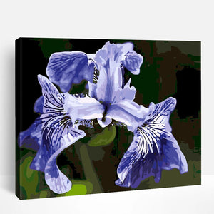 Iris | Paint By Numbers
