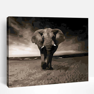 Lone Elephant | Paint By Numbers