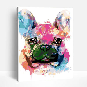 Colorful French Bulldog Close-up | Paint By Numbers