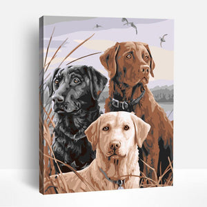 Dogs & Puppies | Paint By Numbers