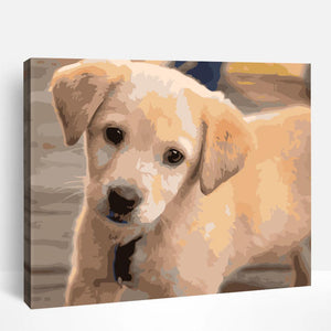 Dogs & Puppies | Paint By Numbers