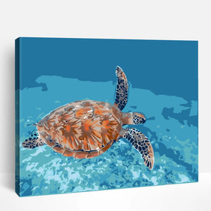 Serene Ocean Turtle | Paint By Numbers