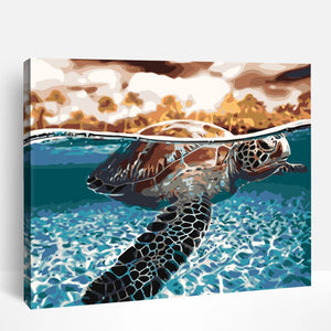 Sunset Turtle | Paint By Numbers
