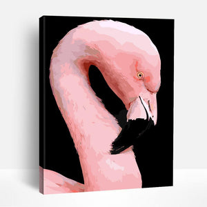 Flamingo Resting | Paint By Numbers
