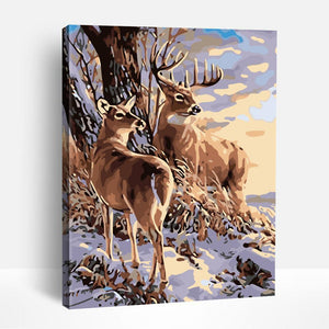Deers in Winter Forest | Paint By Numbers