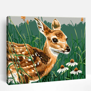 Baby Deer in Grass Field | Paint By Numbers