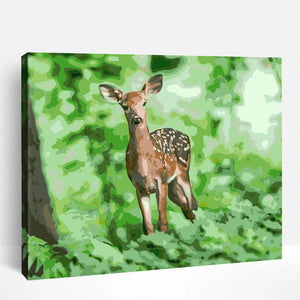 Deer in Wild Forest | Paint By Numbers