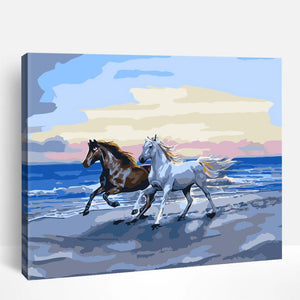 Horses on Beach | Paint By Numbers