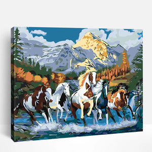 Freedom in the Wild | Paint By Numbers
