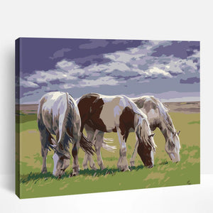 Horses on Grass | Paint By Numbers