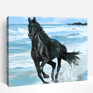 Black Horse at Shoreline | Paint By Numbers