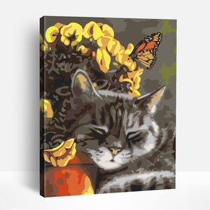 Kitty and Butterfly | Paint By Numbers