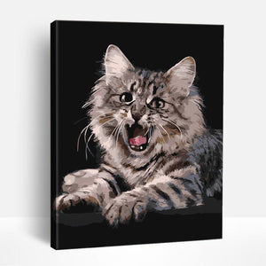 Roaring Kitty | Paint By Numbers