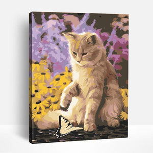 Cat Playing with Butterfly | Paint By Numbers