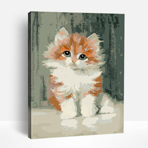 Fluffy Kitty | Paint By Numbers