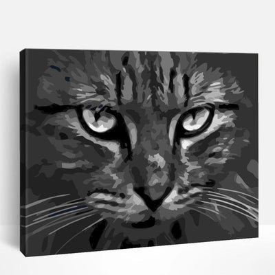 Cats & Kitties | Paint By Numbers