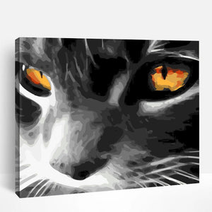 Kitten Gaze | Paint By Numbers