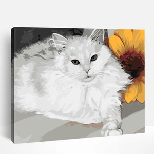 White Fluffy Cat | Paint By Numbers