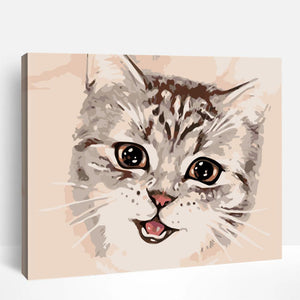 Cat Close-up | Paint By Numbers