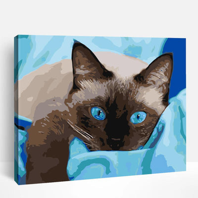 Cats & Kitties | Paint By Numbers