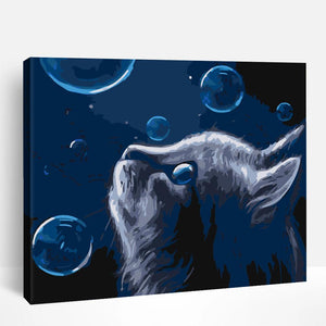 Cat and Galaxy | Paint By Numbers