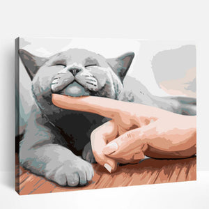 British Shorthair | Paint By Numbers