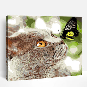 British Shorthair with Butterfly | Paint By Numbers