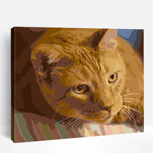 Cat in Watch | Paint By Numbers