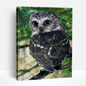 Forest Owl | Paint By Numbers