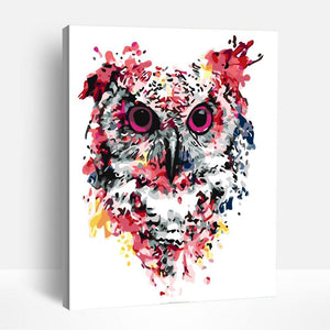 Psychedelic Owl | Paint By Numbers