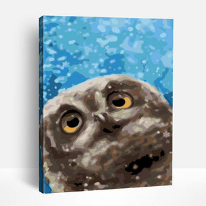Dreamy Owl | Paint By Numbers