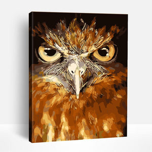 Owl Gaze | Paint By Numbers