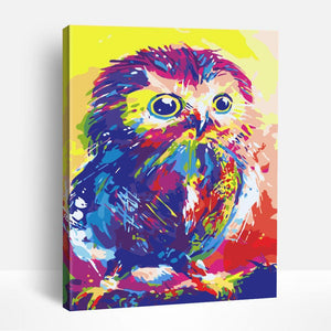 Rainbow Colored Owl | Paint By Numbers