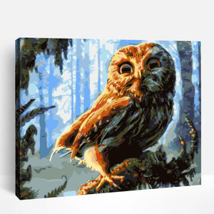 Woodland Owl | Paint By Numbers