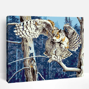 Owl in Flight | Paint By Numbers