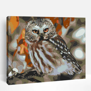 Wise Owl Resting | Paint By Numbers