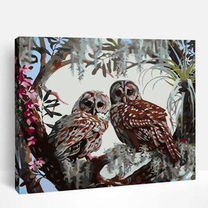 Owl Couple | Paint By Numbers