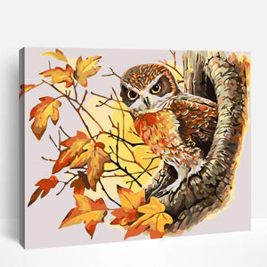 Autumn Owl | Paint By Numbers