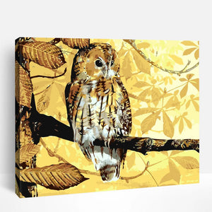 Golden Owl | Paint By Numbers